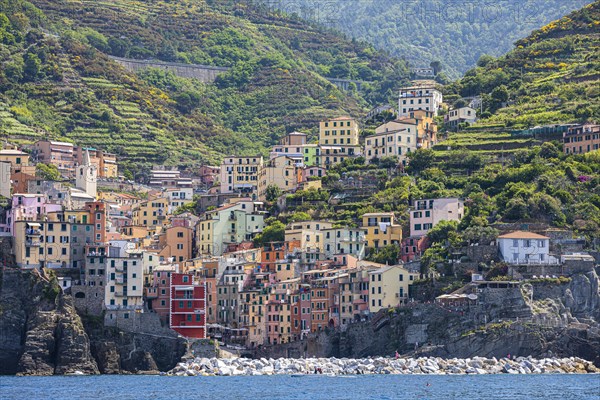 The village of Riomaggiore with its nested pastel-coloured houses built into the hillside