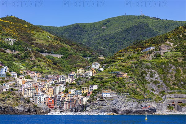 The village of Riomaggiore with its nested pastel-coloured houses built into the hillside