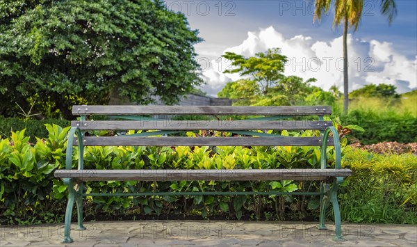 A lonely bench in a park