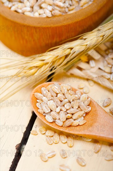 Organic barley grains over rustic wood table macro closeup