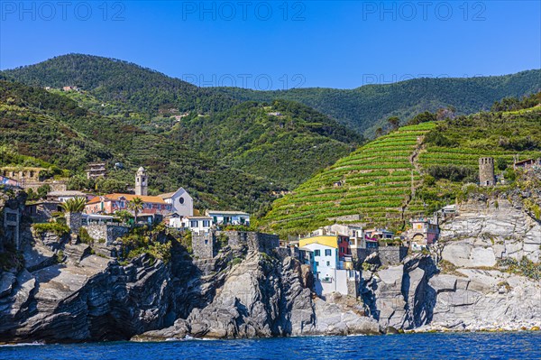 Houses built into the rock in the village of Vernazza