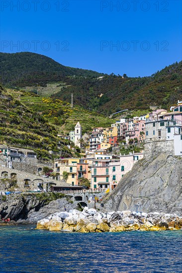 The village of Manarola with its nested pastel-coloured houses built into the hillside