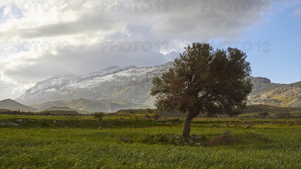 Spring in Crete