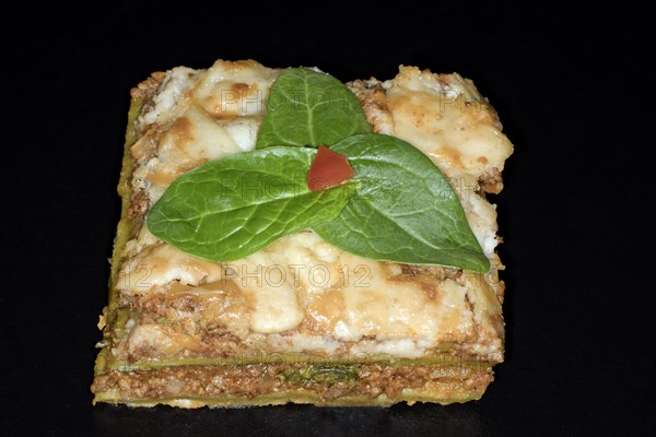 Classic lasagne with spinach leaves