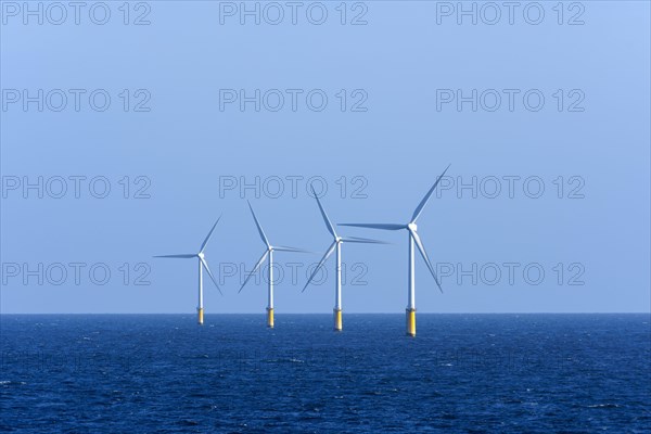 Offshore wind farm