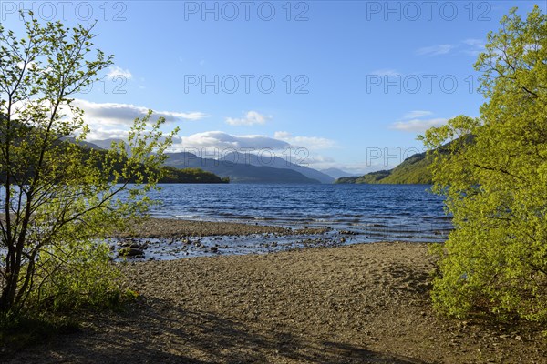 Lake shore in the spring