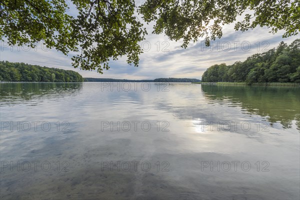 Lakeside in summer