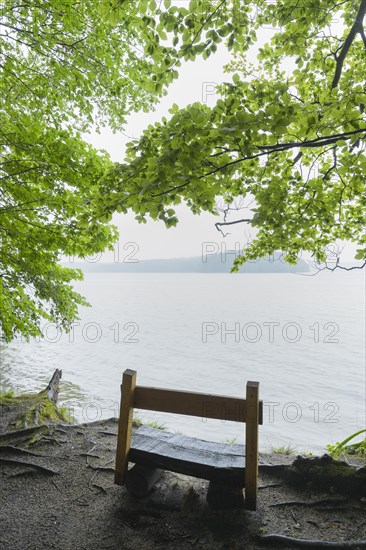 Bench on lake in the morning