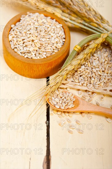 Organic barley grains over rustic wood table macro closeup