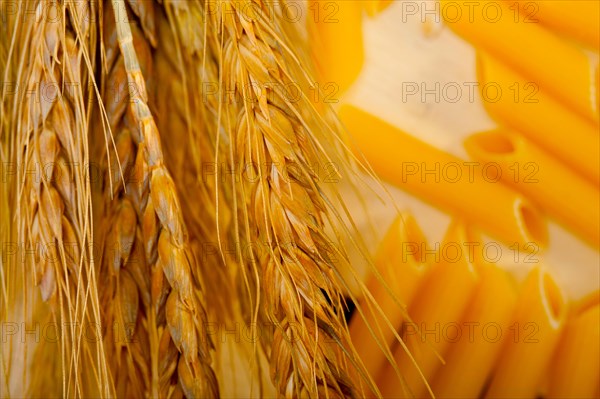 Short Italian pasta penne with durum wheat grains