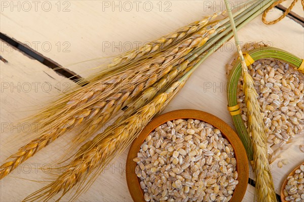 Organic wheat grains over rustic wood table macro closeup