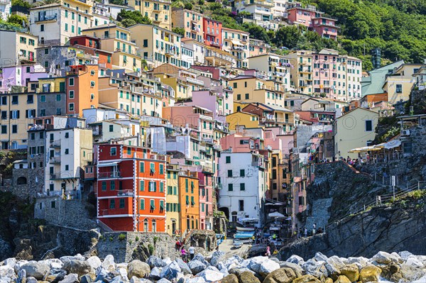 The village of Riomaggiore with its nested pastel-coloured houses built into the hillside