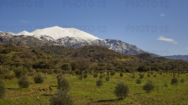 Spring in Crete