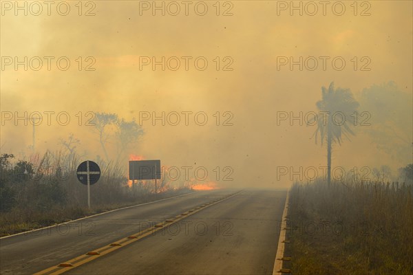Bushfire on the main road 251 through the national park