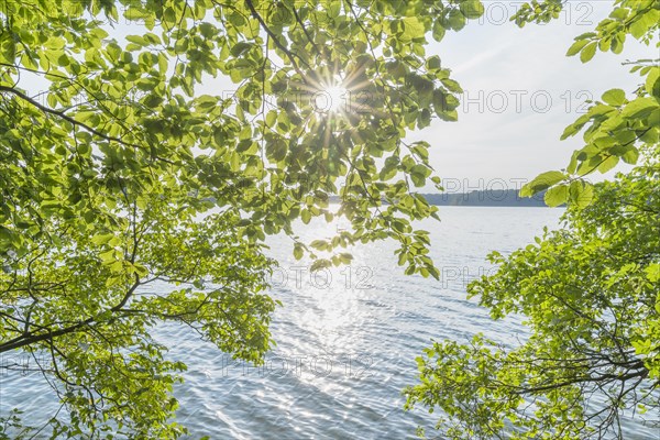 Lakeside in summer