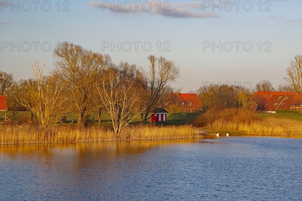 Evening light at Lake Gartow