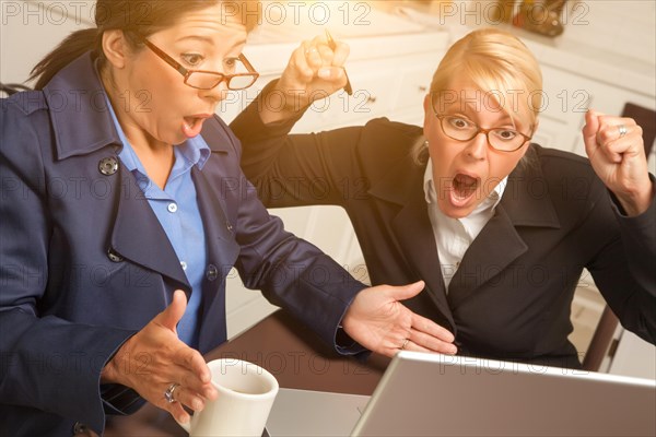 Businesswomen celebrate success on the laptop in the kitchen