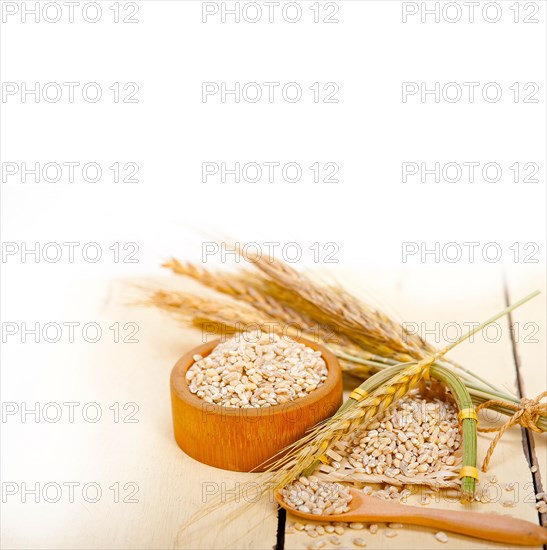 Organic wheat grains over rustic wood table macro closeup