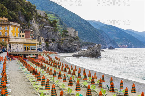 Sun loungers and parasols