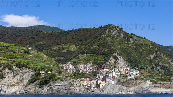 The village of Manarola with its nested pastel-coloured houses built into the hillside