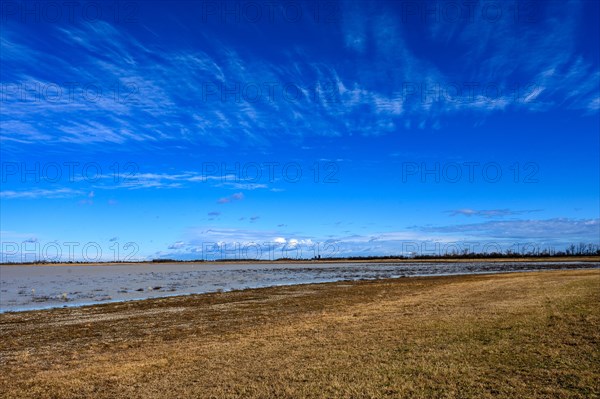 Wide view over a landscape without people in the lowlands of the Lange Lacke in Burgenland