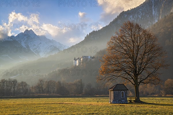 Small chapel under a tree