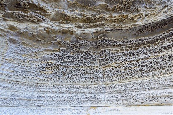 Rock on coast with honeycomb weathering