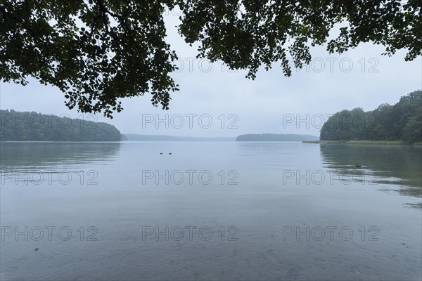 Lakeside after rain in the morning