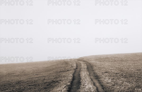 Field path leads a mown meadow