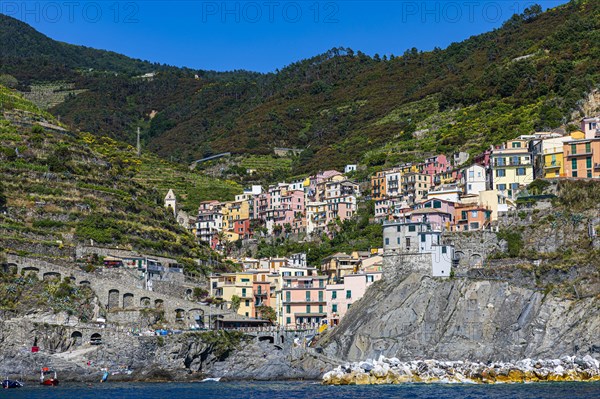 The village of Manarola with its nested pastel-coloured houses built into the hillside