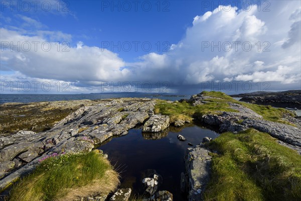 Scottish coast in spring