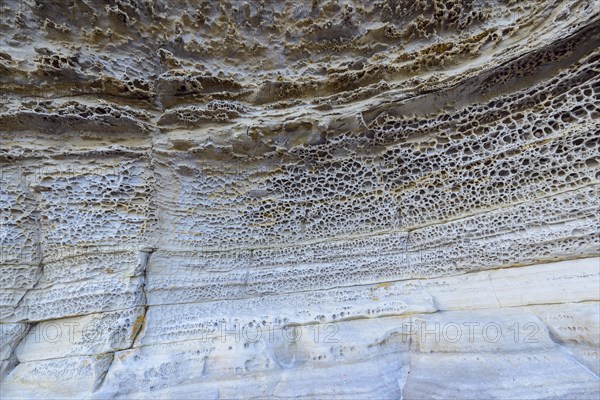 Rock on coast with honeycomb weathering