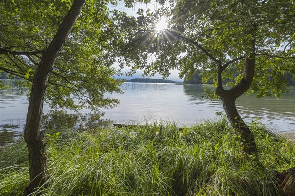 Lakeside in summer