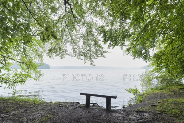 Bench on lake in the morning