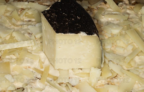 Sardinian pecorino