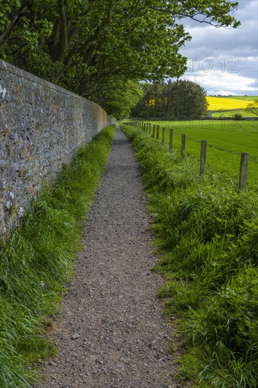 Path in countryside