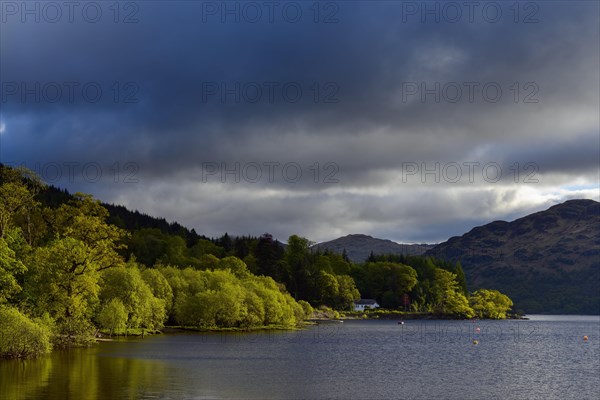 Lake shore in the spring