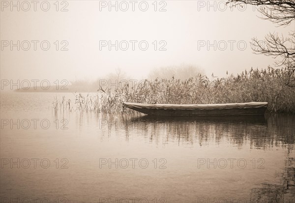 Fishing boat in the morning mist at the reed belt of the Irrsee