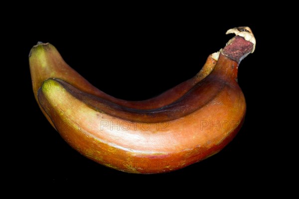 Red bananas