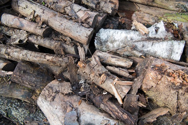 Deadwood piles as natural insect nesting aid