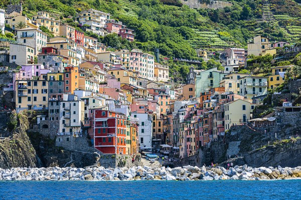 The village of Riomaggiore with its nested pastel-coloured houses built into the hillside