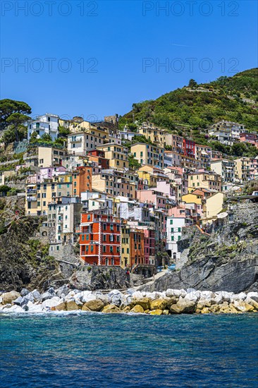 The village of Riomaggiore with its nested pastel-coloured houses built into the hillside