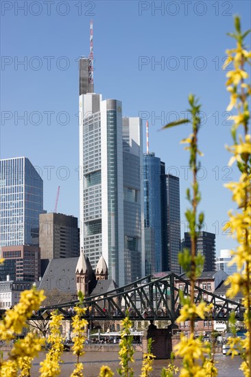 Skyline with a bridge and a yellow flowering forsythia in the foreground