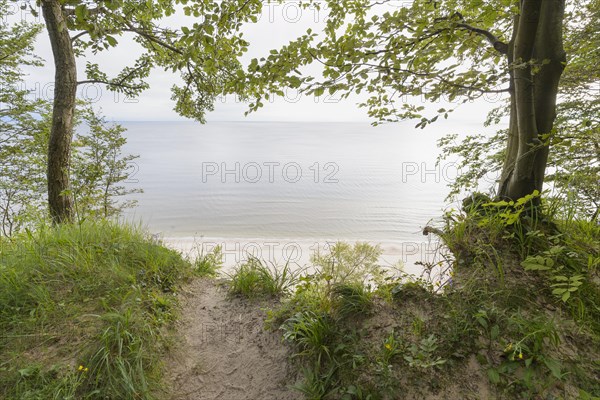 Steep coast at sunrise