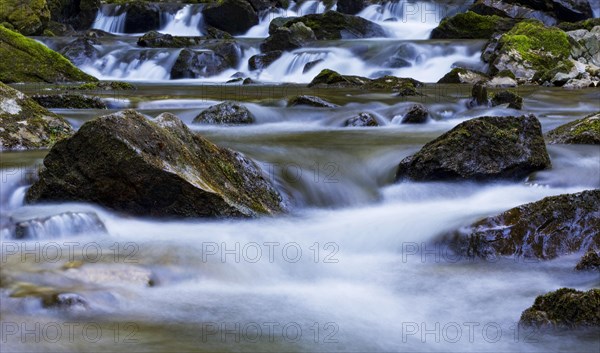 Mountain stream flows over moss-covered stones