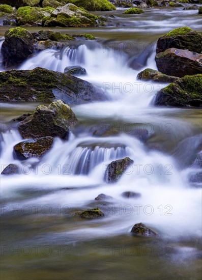 Mountain stream flows over moss-covered stones