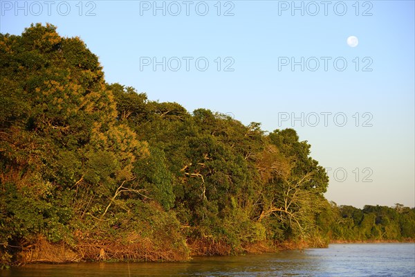 Sinking moon over the banks of the Rio Sao Lourenco