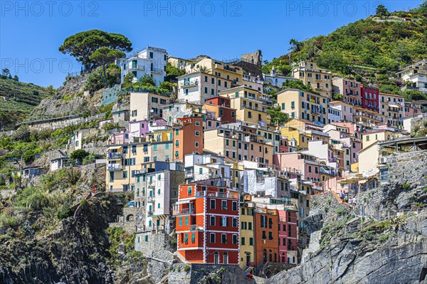 The village of Riomaggiore with its nested pastel-coloured houses built into the hillside