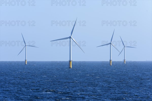 Offshore wind farm