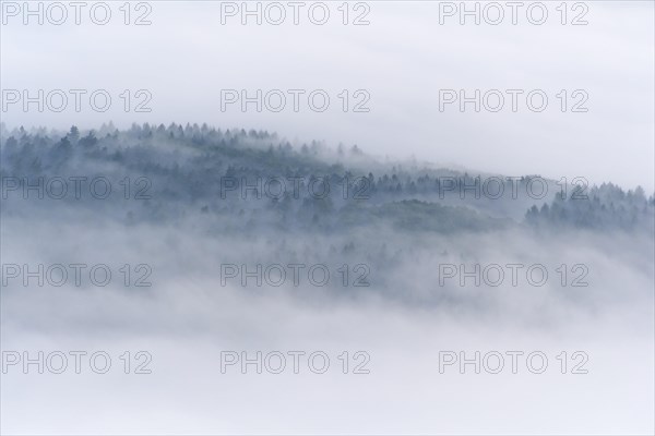 View from Katzenbuckel mountain with morning mist